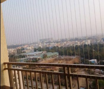 WhatsApp Image 2026-02-03 at 2.49.56 PM (2)